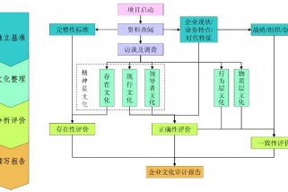 企業文化審計的操作流程